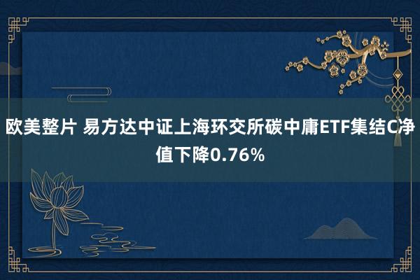 欧美整片 易方达中证上海环交所碳中庸ETF集结C净值下降0.76%