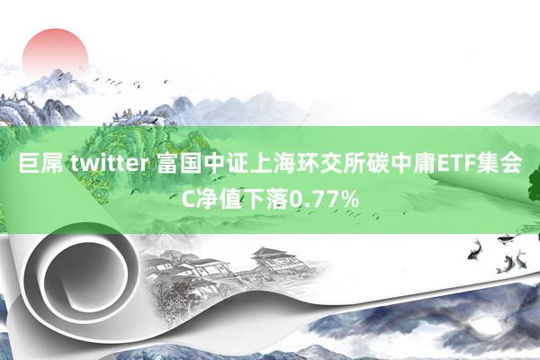 巨屌 twitter 富国中证上海环交所碳中庸ETF集会C净值下落0.77%