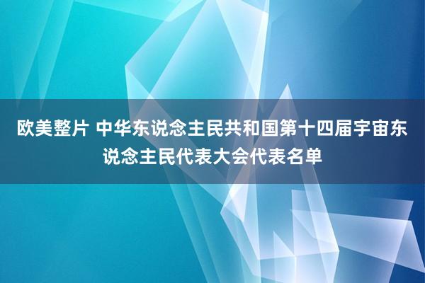 欧美整片 中华东说念主民共和国第十四届宇宙东说念主民代表大会代表名单