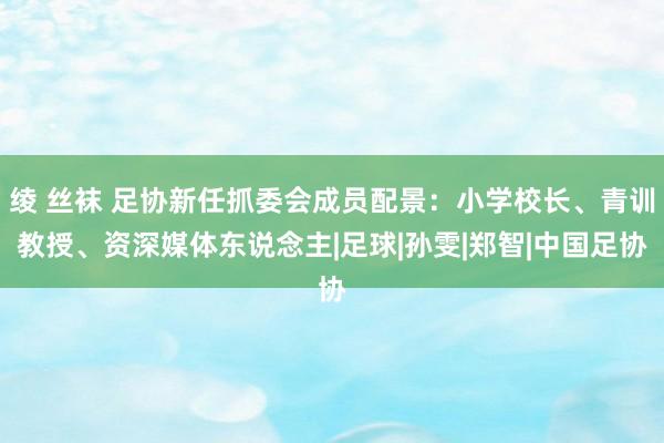 绫 丝袜 足协新任抓委会成员配景：小学校长、青训教授、资深媒体东说念主|足球|孙雯|郑智|中国足协