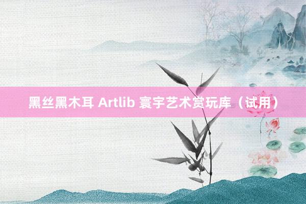 黑丝黑木耳 Artlib 寰宇艺术赏玩库（试用）