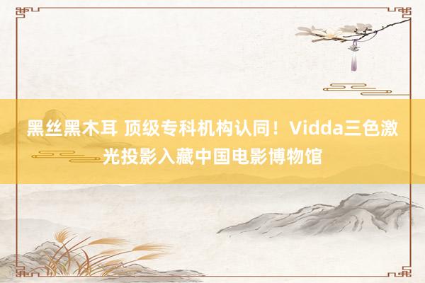 黑丝黑木耳 顶级专科机构认同！Vidda三色激光投影入藏中国电影博物馆