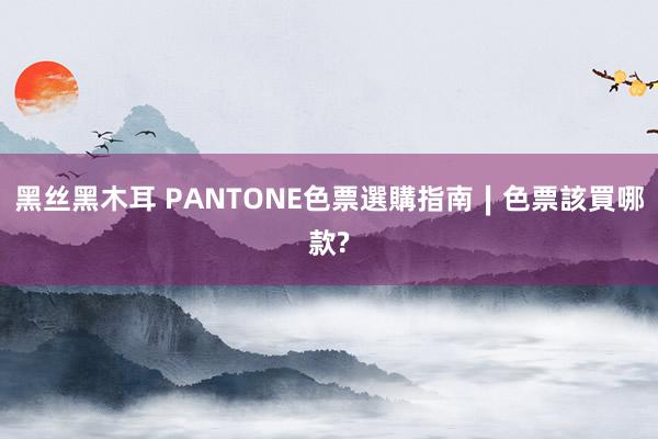 黑丝黑木耳 PANTONE色票選購指南∣色票該買哪款?