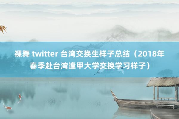 裸舞 twitter 台湾交换生样子总结（2018年春季赴台湾逢甲大学交换学习样子）