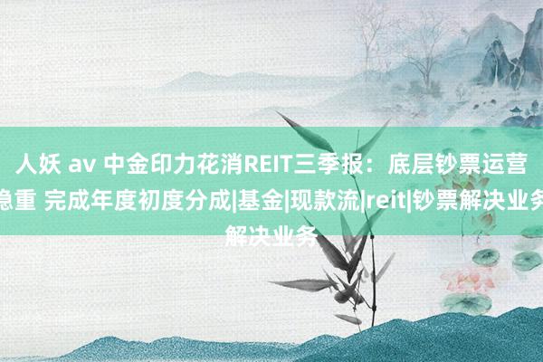 人妖 av 中金印力花消REIT三季报：底层钞票运营稳重 完成年度初度分成|基金|现款流|reit|钞票解决业务