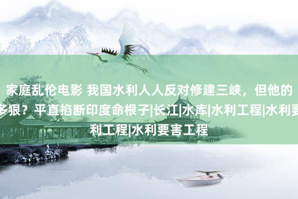 家庭乱伦电影 我国水利人人反对修建三峡，但他的计谋有多狠？平直掐断印度命根子|长江|水库|水利工程|水利要害工程