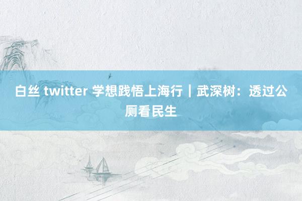 白丝 twitter 学想践悟上海行｜武深树：透过公厕看民生