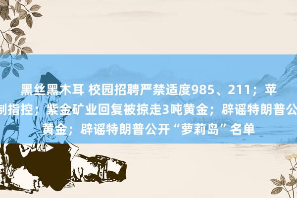 黑丝黑木耳 校园招聘严禁适度985、211；苹果濒临38亿反控制指控；紫金矿业回复被掠走3吨黄金；辟谣特朗普公开“萝莉岛”名单