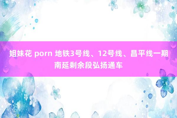 姐妹花 porn 地铁3号线、12号线、昌平线一期南延剩余段弘扬通车