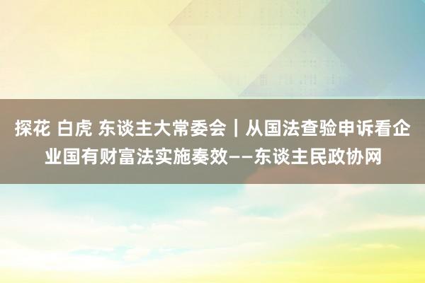 探花 白虎 东谈主大常委会｜从国法查验申诉看企业国有财富法实施奏效——东谈主民政协网